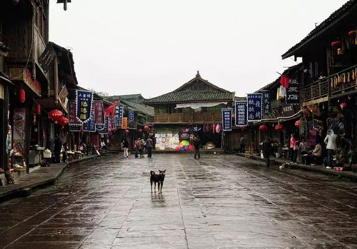 成长家园2